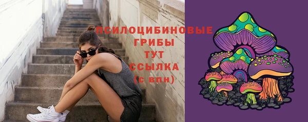 бутират Богородицк