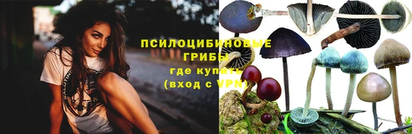 бутират Богородицк