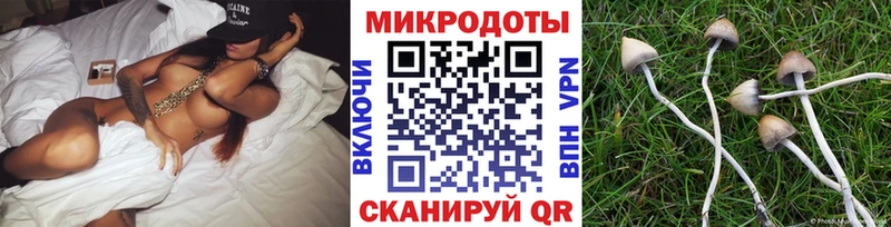 Псилоцибиновые грибы GOLDEN TEACHER  omg рабочий сайт  Льгов 